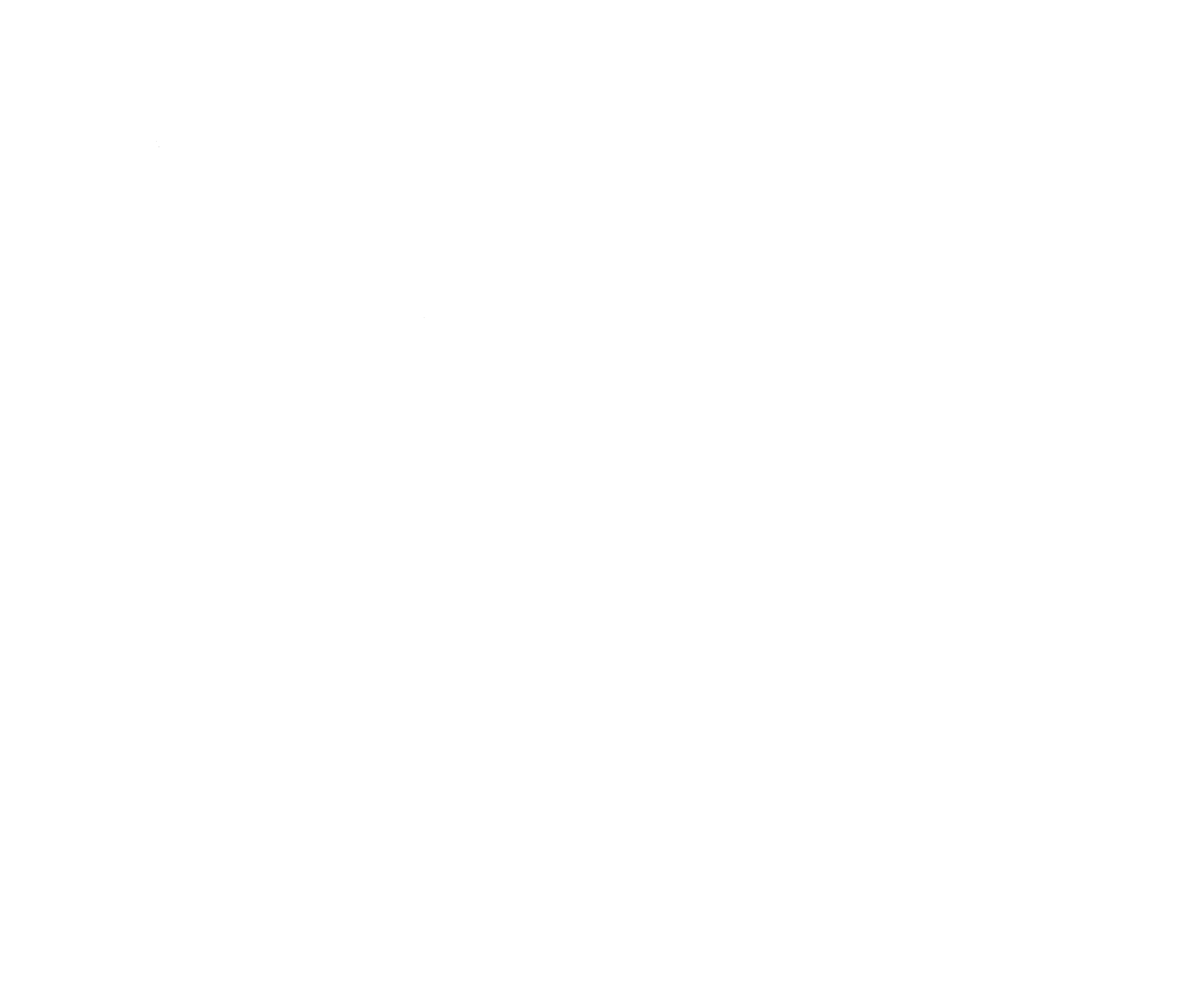 NYE Logo